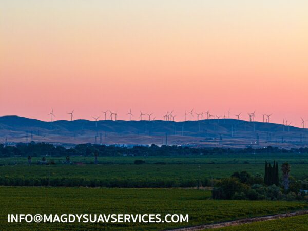 A field with many wind turbines in the background.